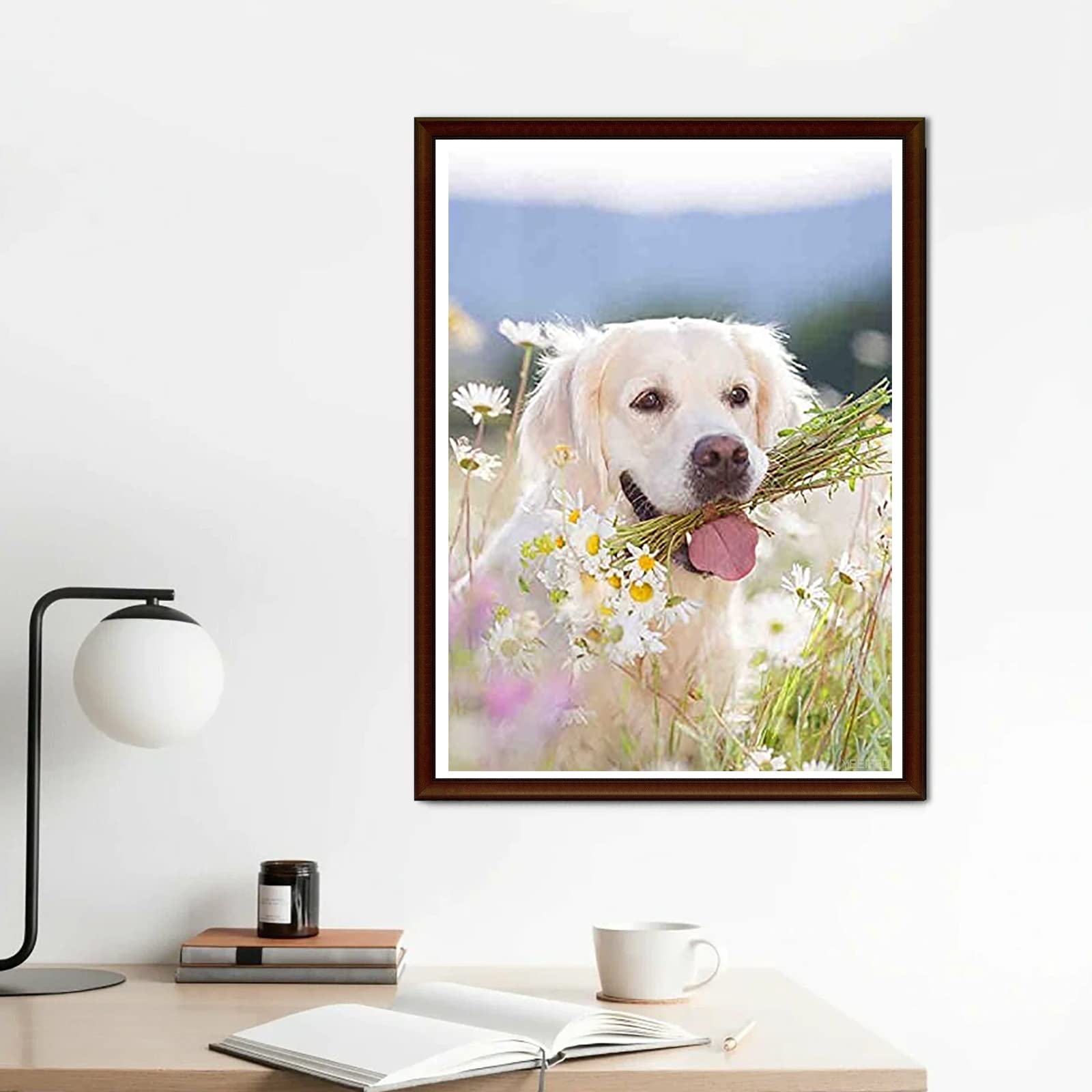 Amazon | DIY 5D ダイヤモンド絵画、ホワイトゴールデン